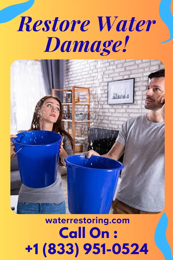 water restoration Western Water Removal Pros Neenah
