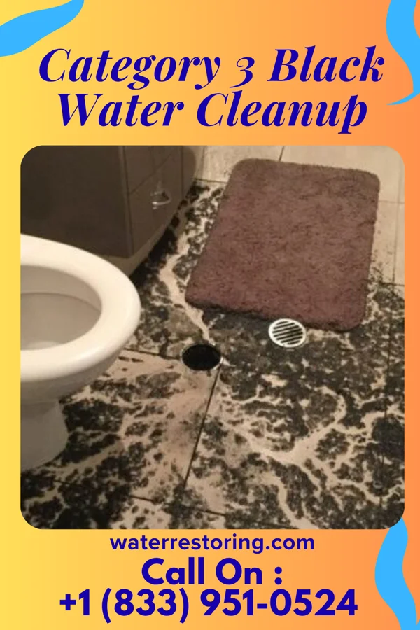 Category 3 Black Water Cleanup in Neenah, WI