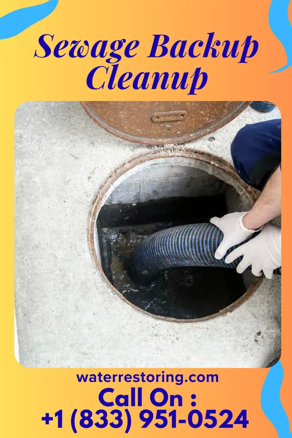 Sewage Backup Cleanup in Neenah, WI