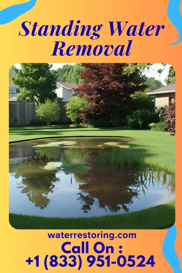 Standing Water Removal in Neenah, WI